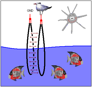 Wasserstand mit Kapazitiver Methode ermitteln 