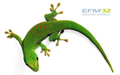 Datei:Gecko small.jpg
